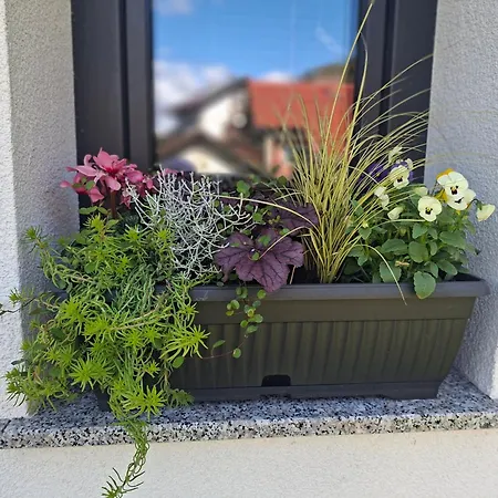 Apartma Brigita Gorica pri Slivnici