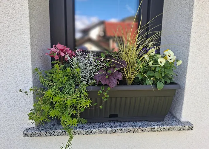 Apartma Brigita Gorica pri Slivnici